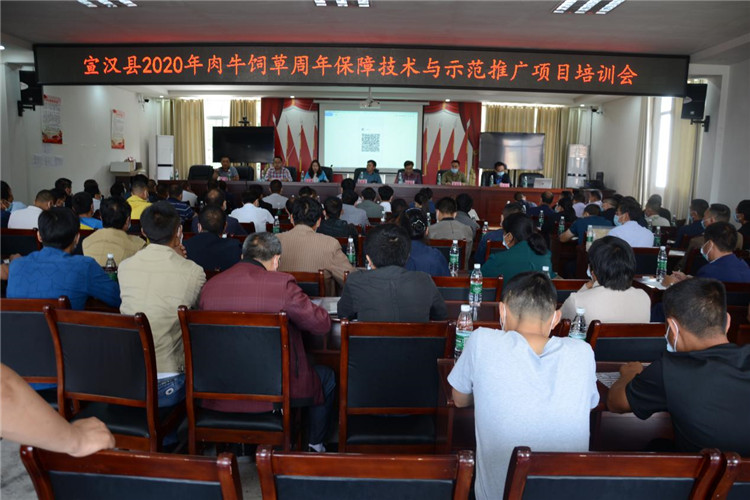 宣汉县举办2020年肉牛饲草周年保障技术与示范推广项目培训会(图1)